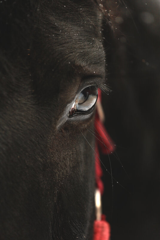 Гурзуф - Кристина Щукина