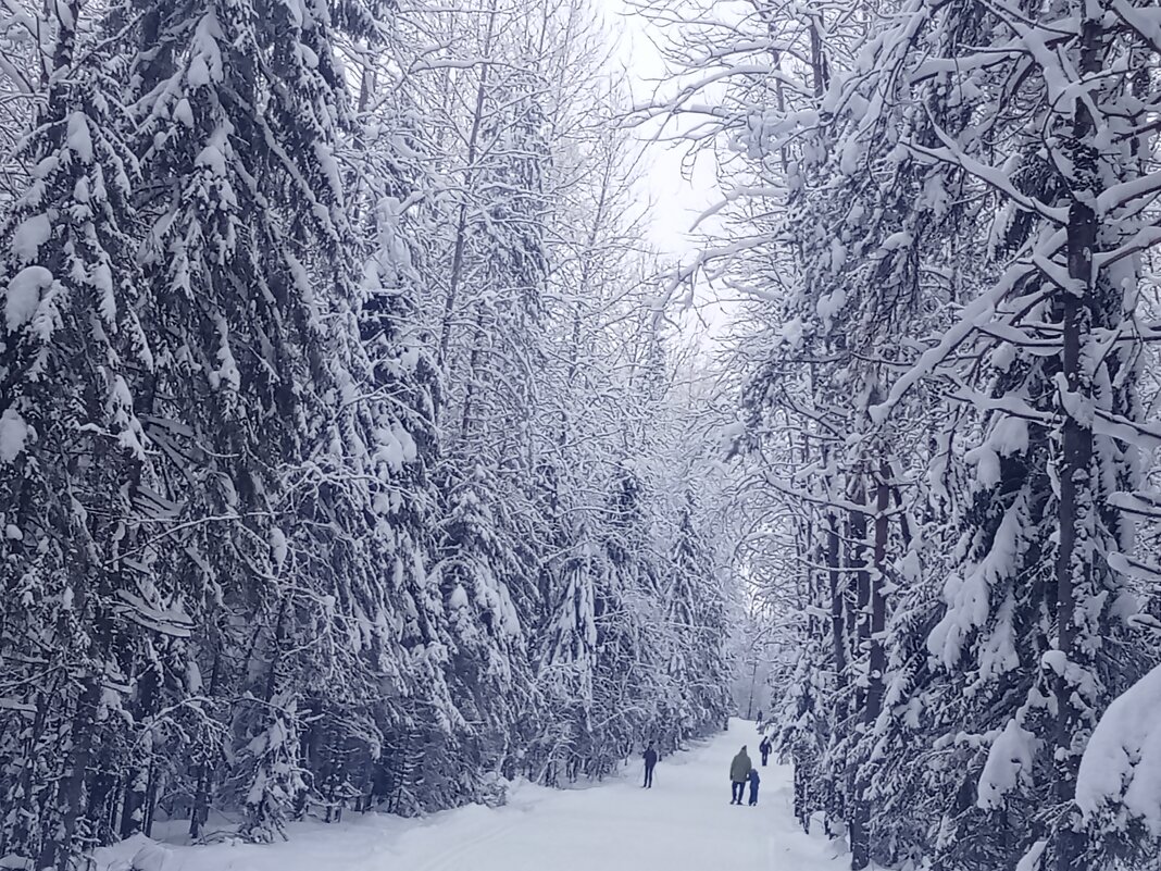 На лыжне - Виктор 