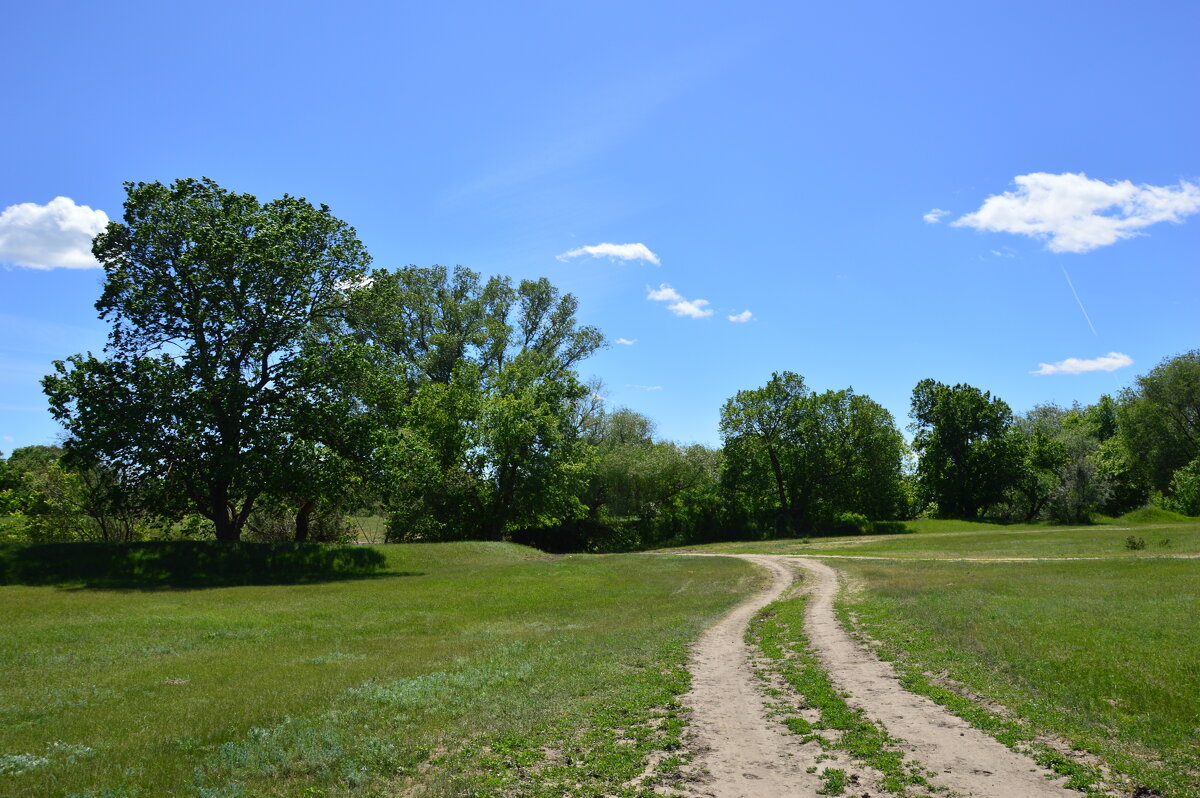 Дороги в степи. - Виктор 