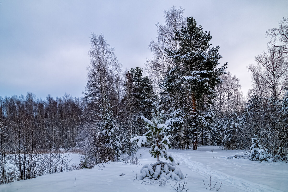 Первые дни нового года 11 - Андрей Дворников