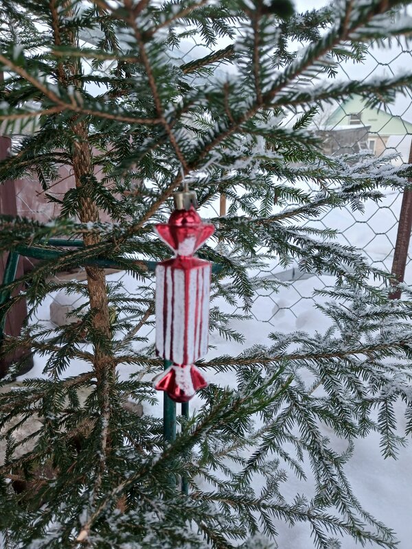 "КОНФЕТКА" - BoxerMak Mak