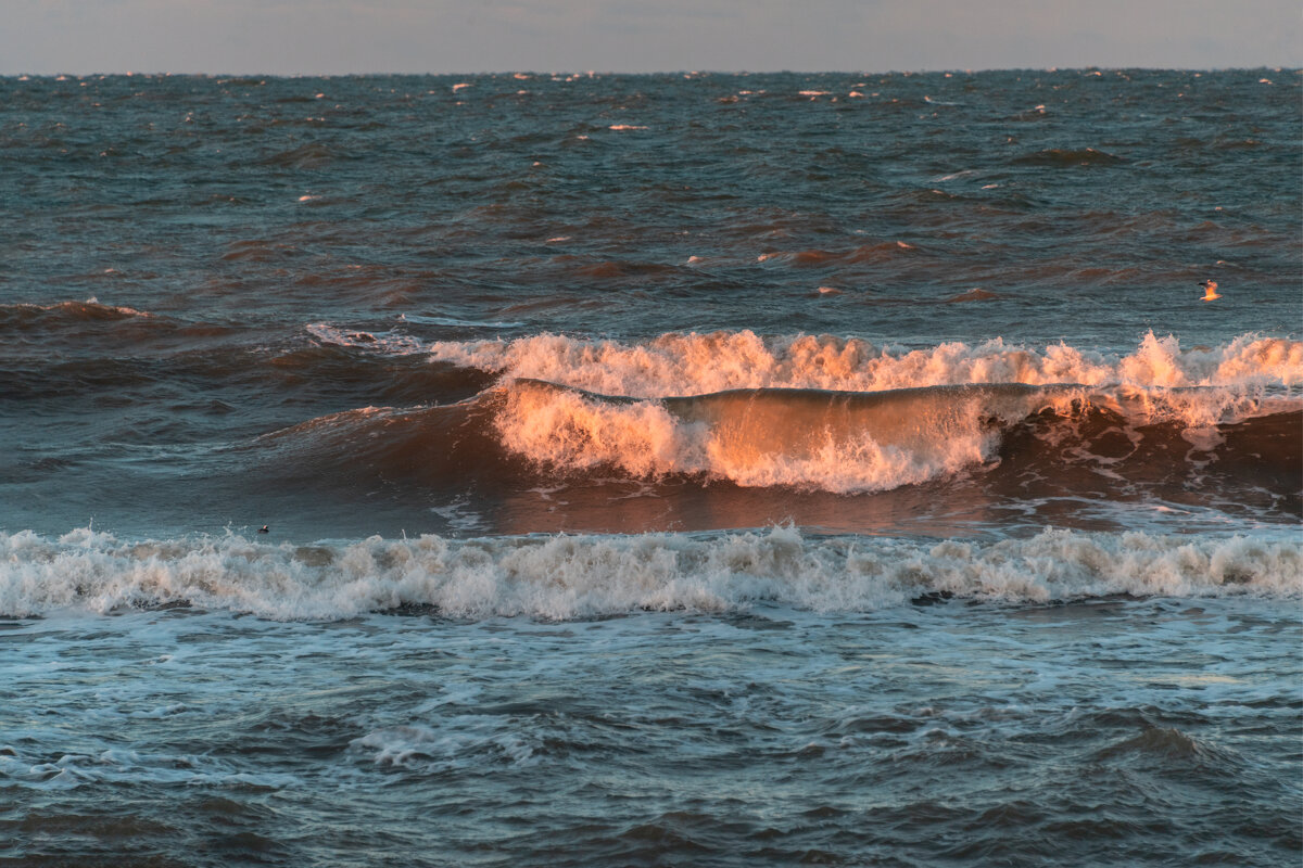 зимняя Балтика - Виталий 