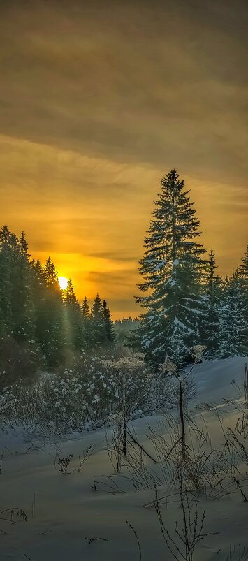 Однажды зимними вечерами... - Леонид Абросимов Однажды зимними вечерами... - Леонид Абросимов