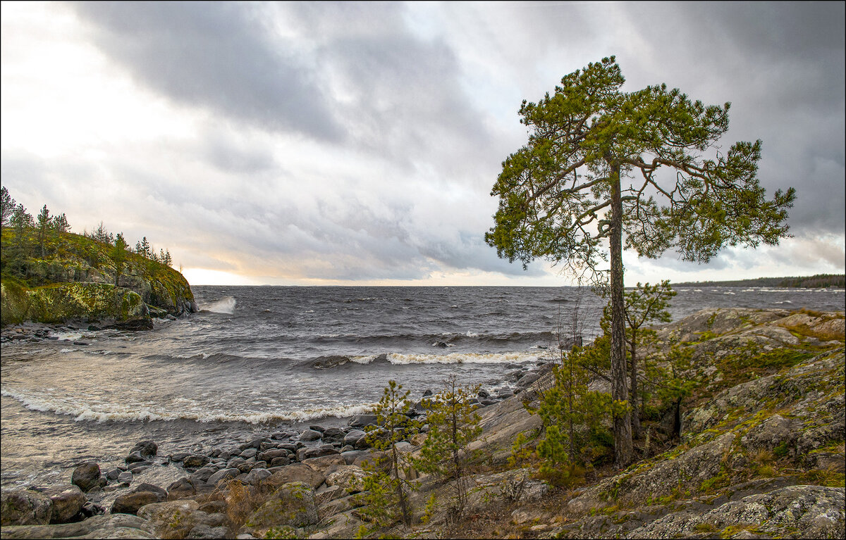 *  *  * - Андрей Бобин