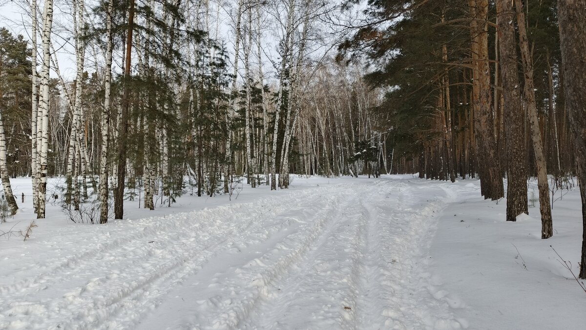 Зима . - Мила Бовкун