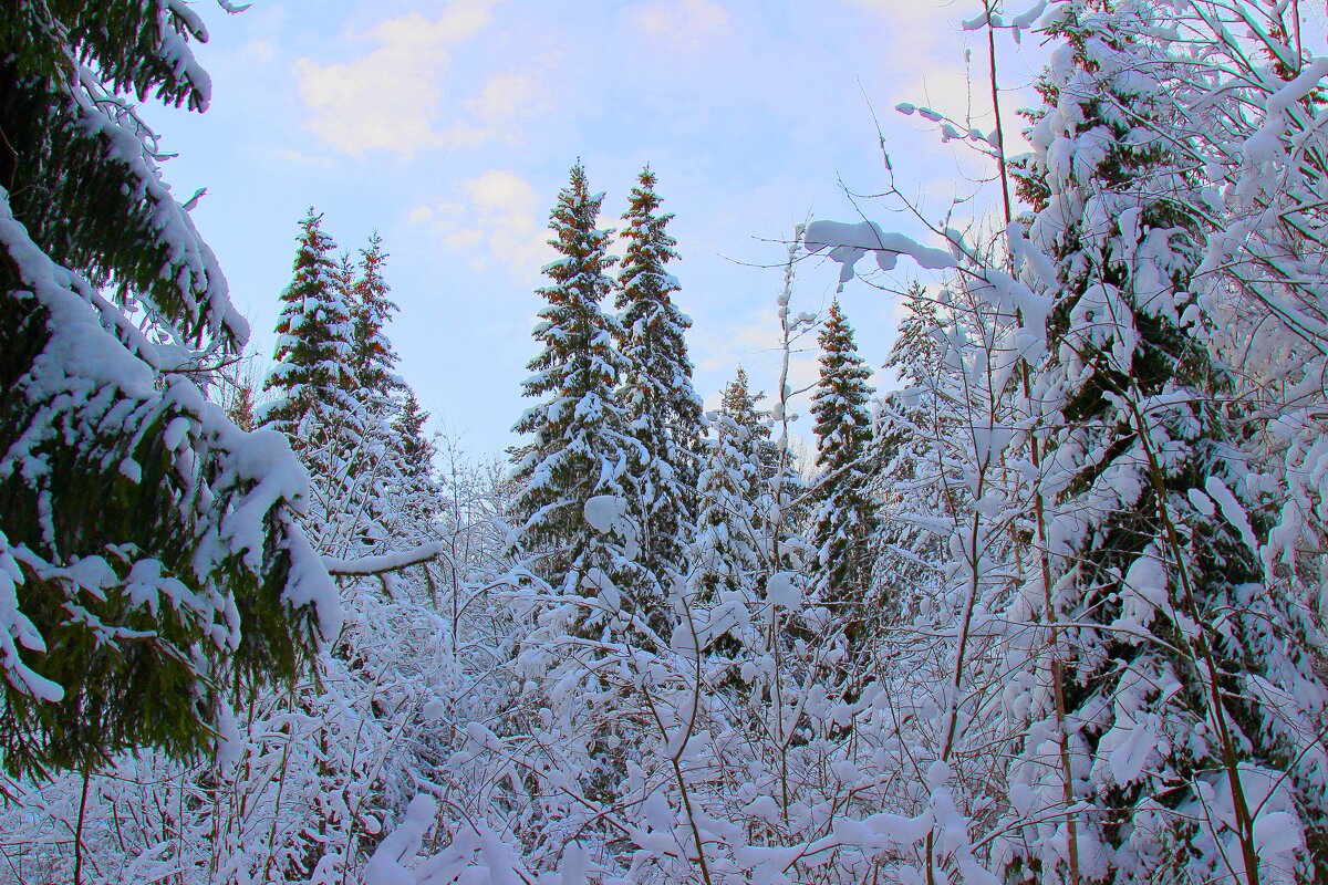 ... - Владимир иванов