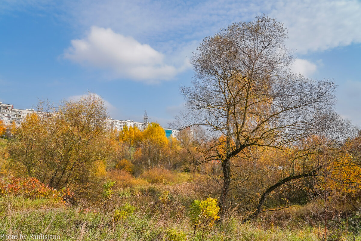 Московская осень... - Владимир Жданов