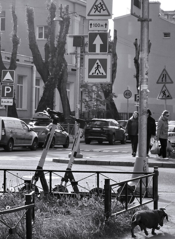 "мы любим теперь вот так" (В.М.) - sv.kaschuk "мы любим теперь вот так" (В.М.) - sv.kaschuk