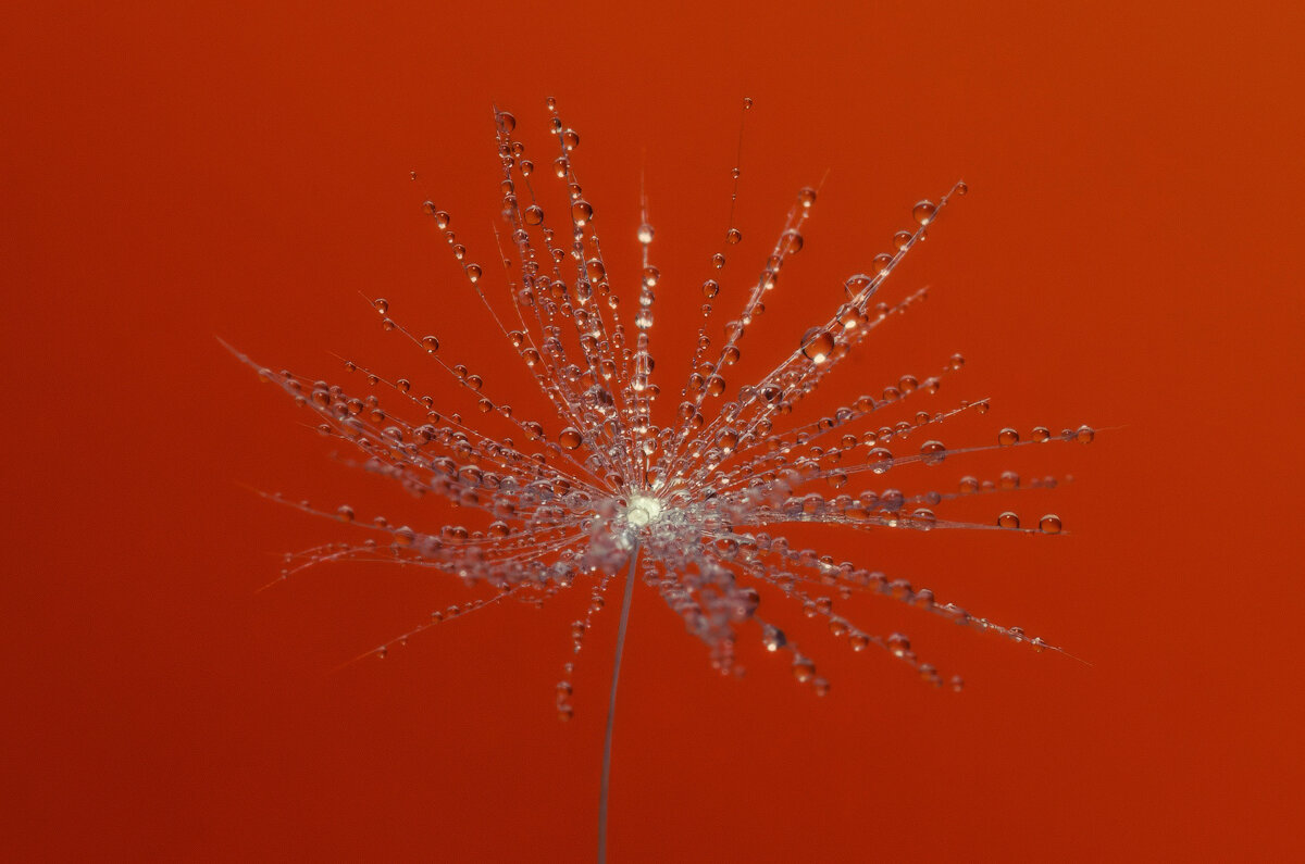 *** - Виктор Иванович Чернюк