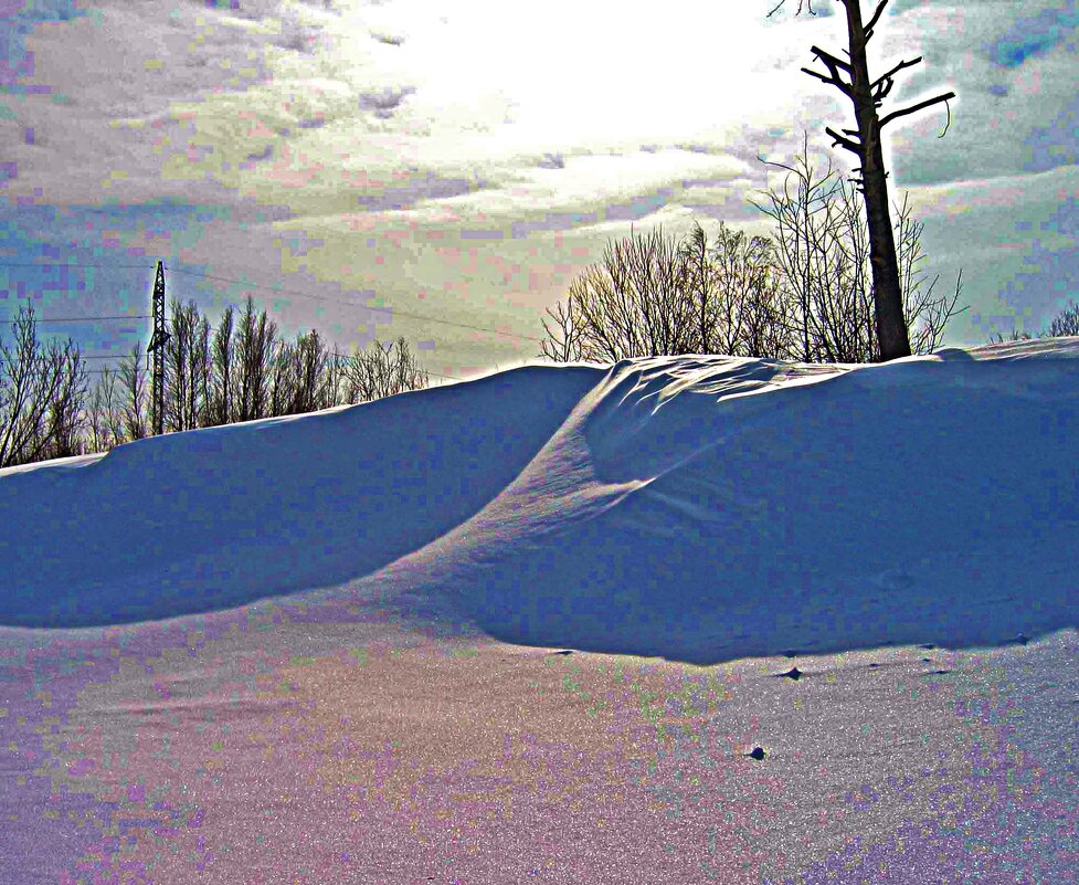 Зима в обской пойме! - Владимир 