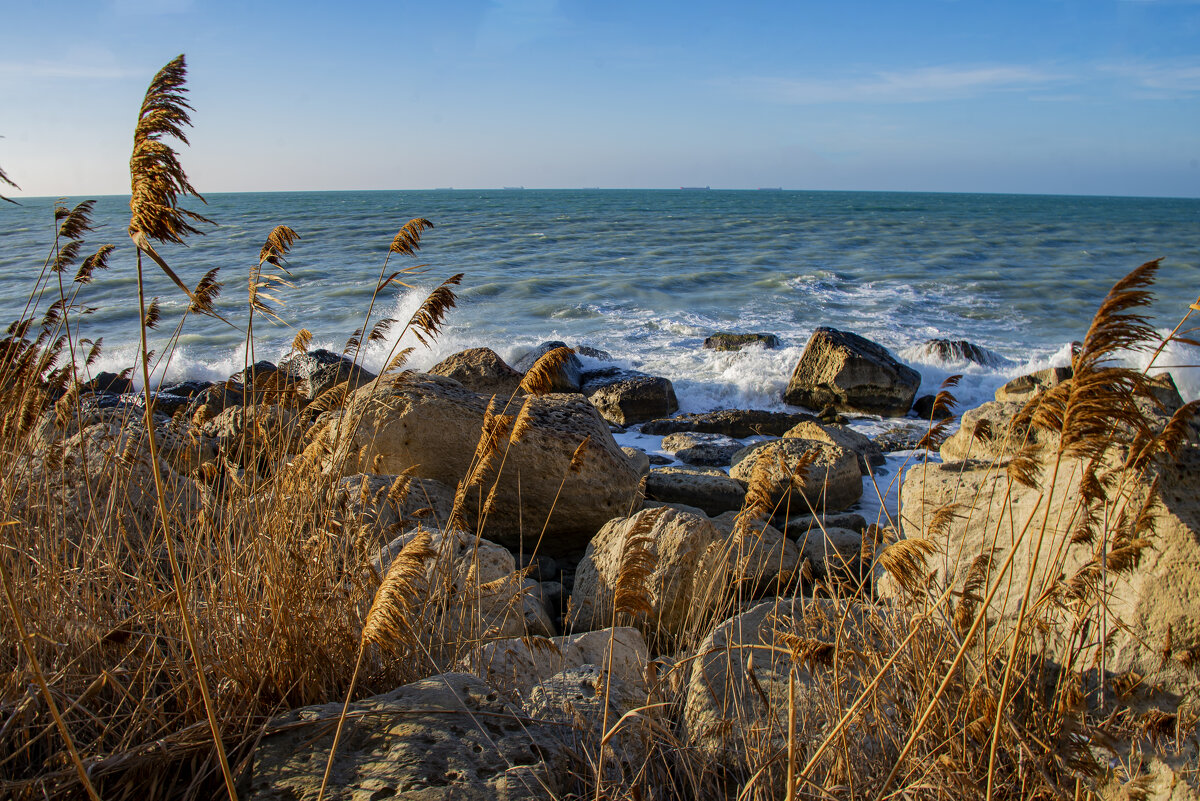 Каспий - Анатолий Чикчирный Каспий - Анатолий Чикчирный