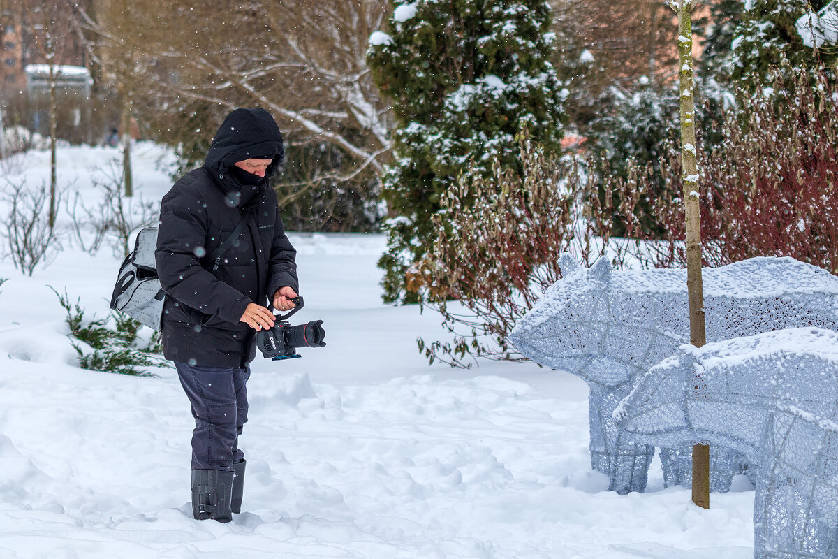 Будет кино про белых медведей. - Анатолий. Chesnavik.