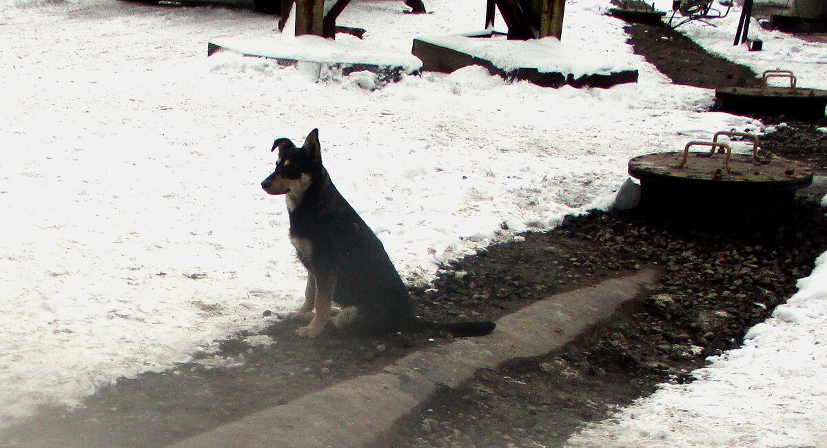 Заводская - Сергей Уткин Заводская - Сергей Уткин