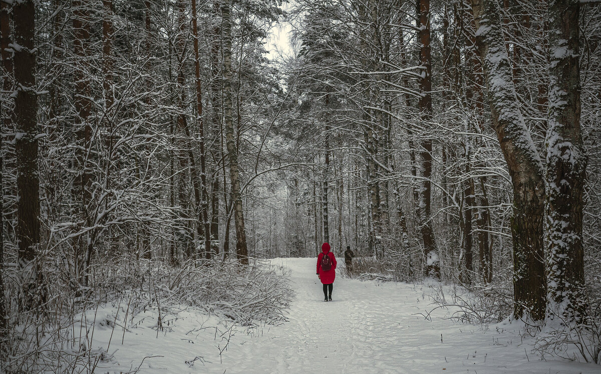 С родника - Сергей Цветков