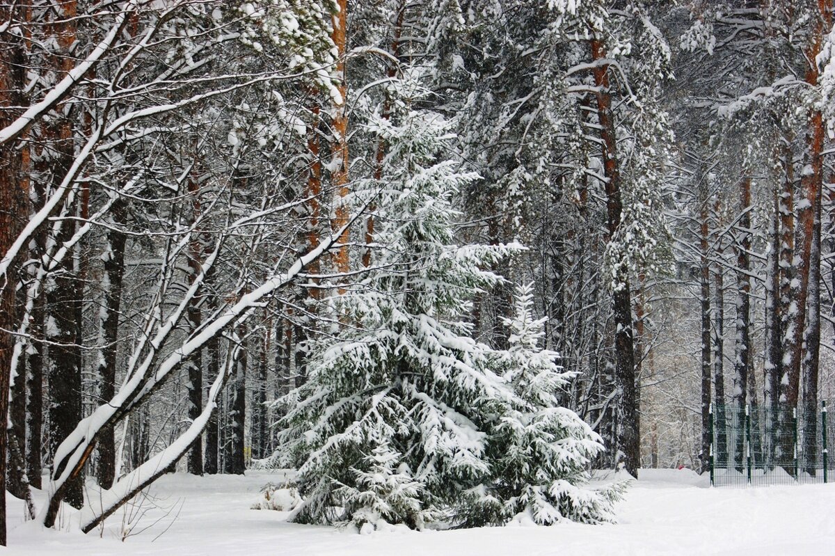 В городском парке - Галина Нестратова