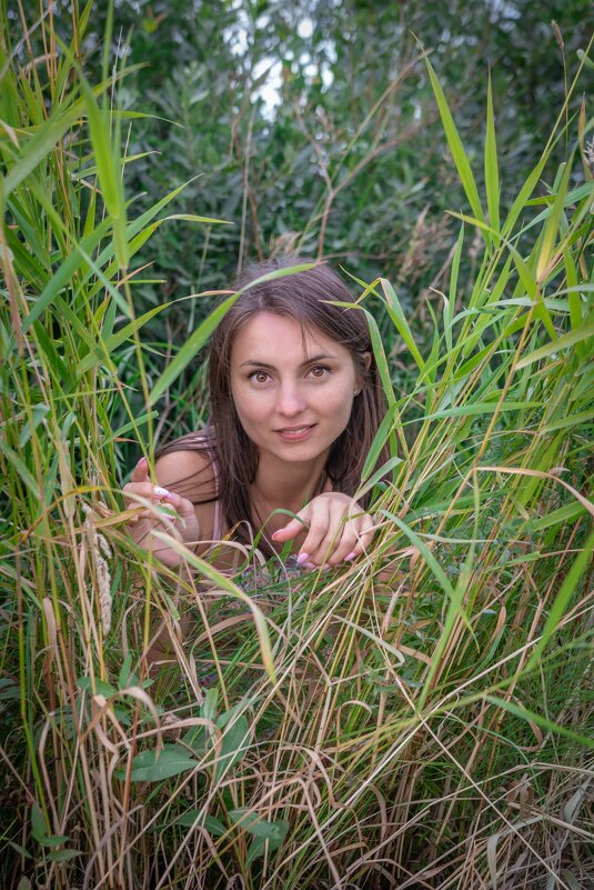 Портрет в траве - Евгений Ермаков