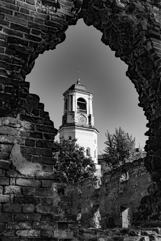 Выборг - Владимир Федоров