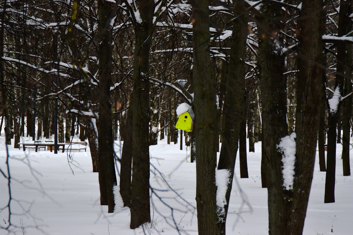 Яркий акцент. - Наталья Вязигина