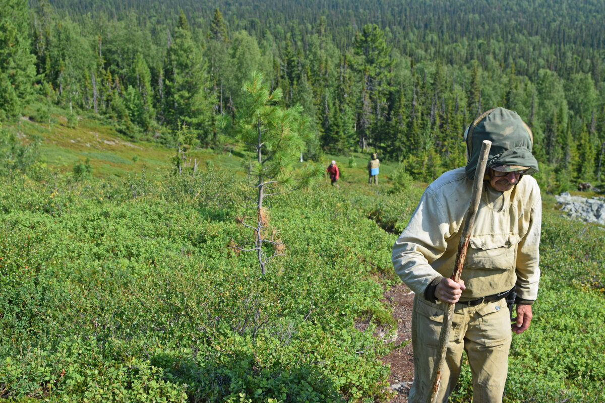 Подниматься не легко. - ВикТор Быстров Подниматься не легко. - ВикТор Быстров