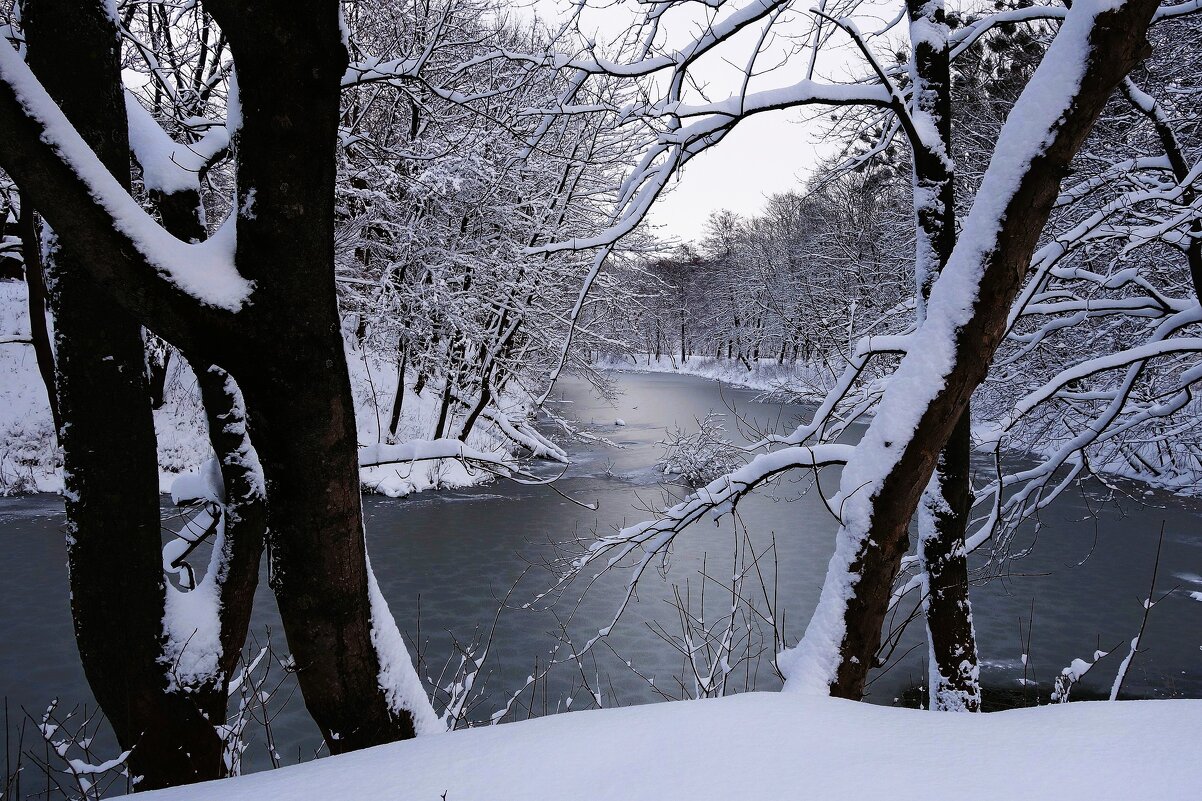 Парк Южный, Калининград - Рита Симонова