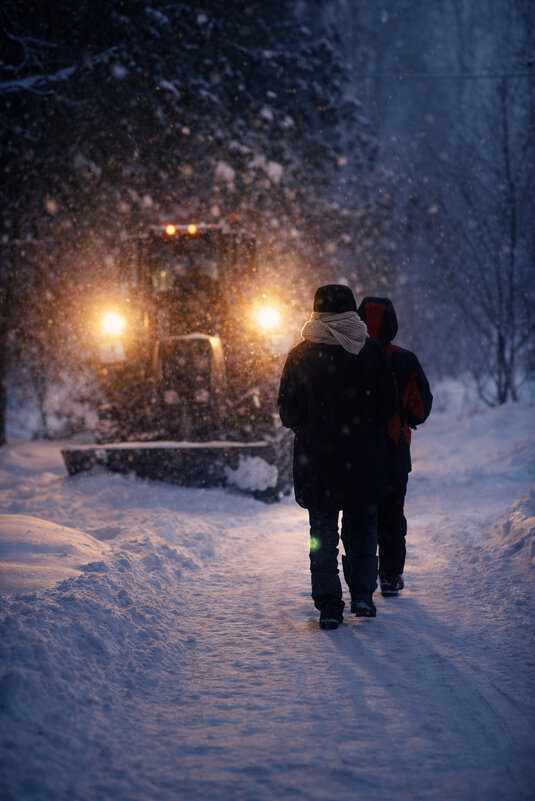 Зимняя прогулка - Дмитрий Колесников