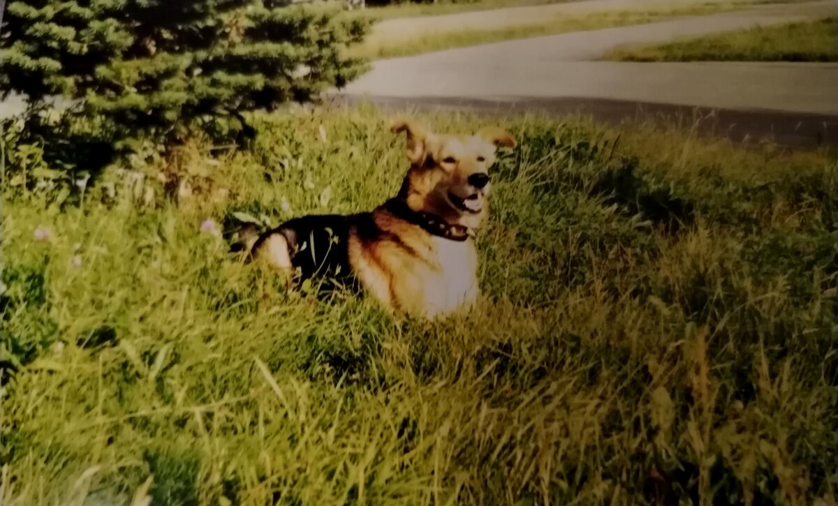 Член семьи - Надежда 