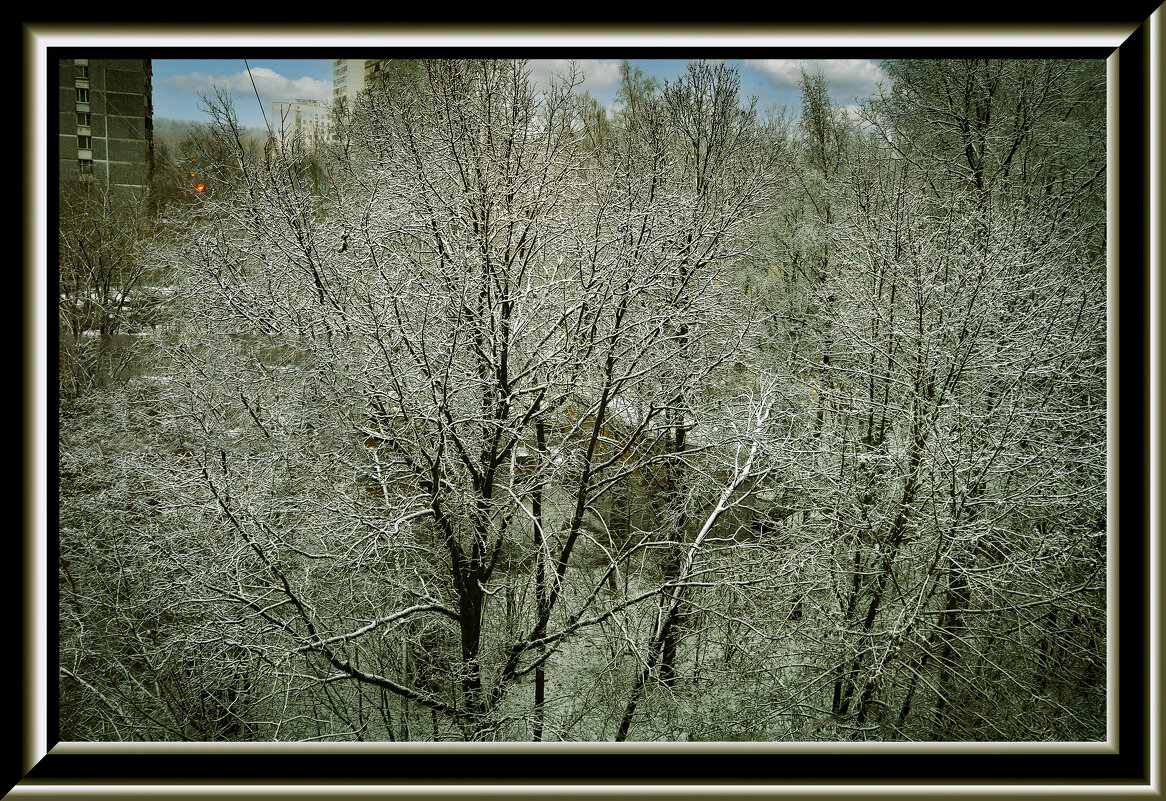 Зимняя зарисовка - Владимир Кроливец