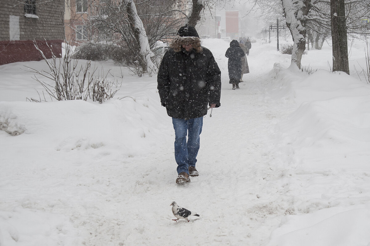 Городские картинки - Владимир Носов