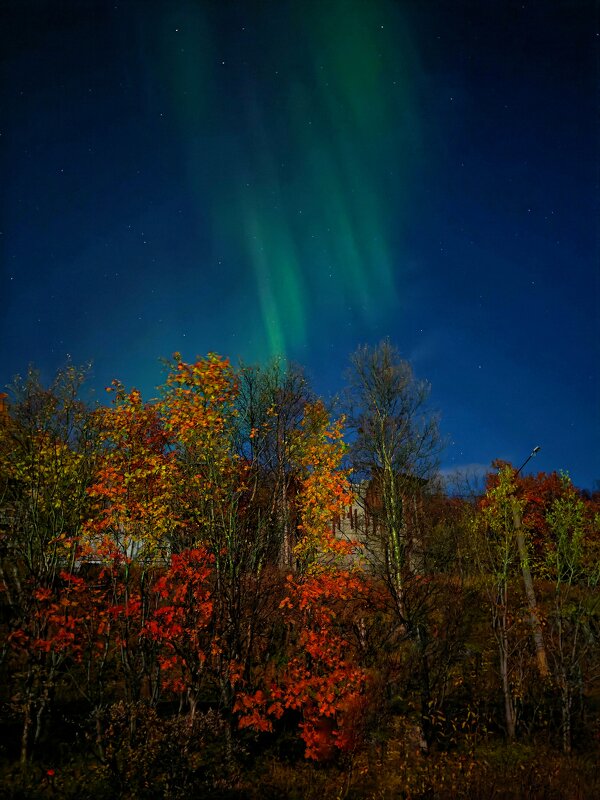Сияние - Андрей C