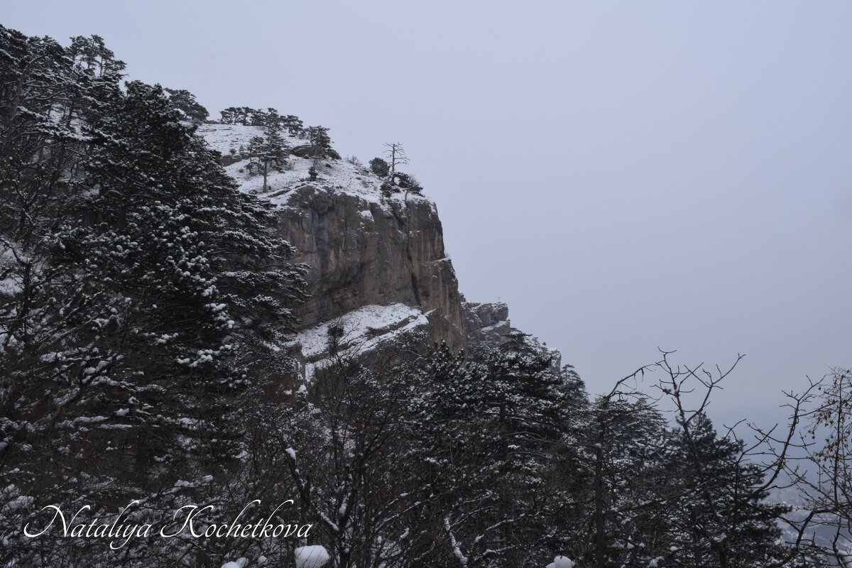 Природа Крыма - Amazing Cosmea