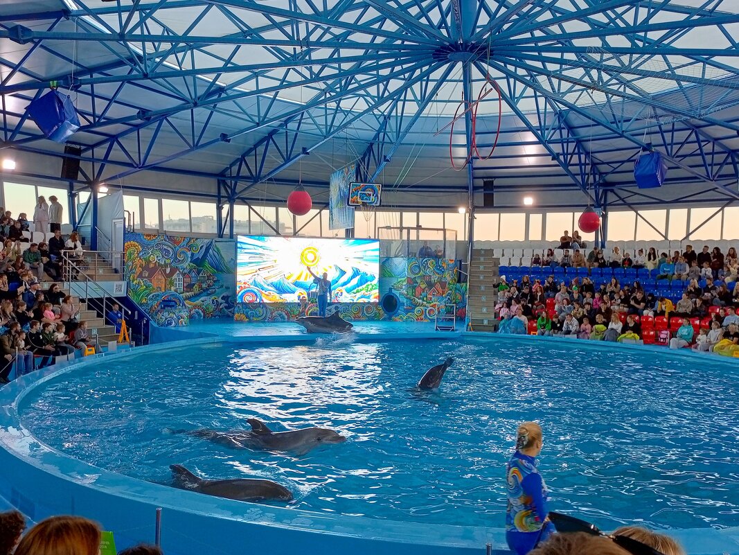 Адлер. Сочи Парк... шоу дельфинов - Нина Бутко