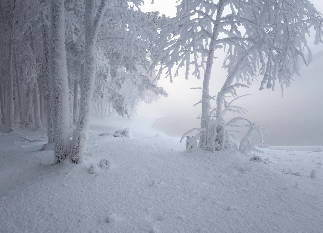 У морозной реки - Марина Фомина. У морозной реки - Марина Фомина.