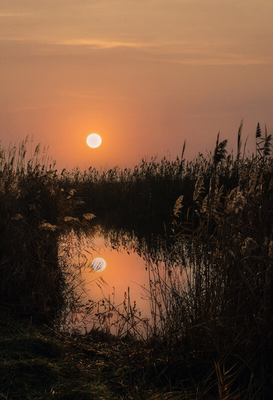 Утро. - Александр. AVG100 ---