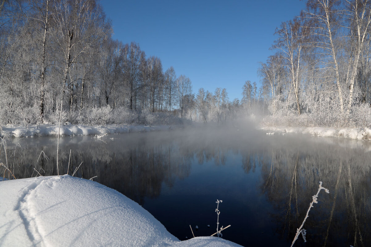 У родника... - владимир 