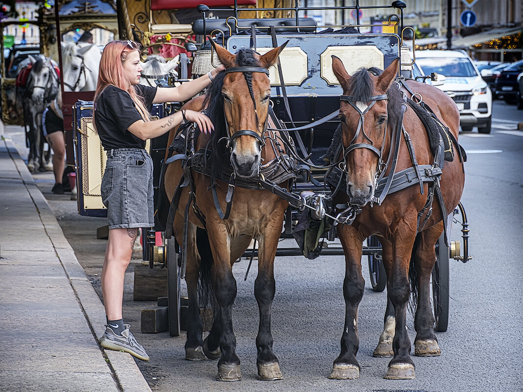 *** - Александр 