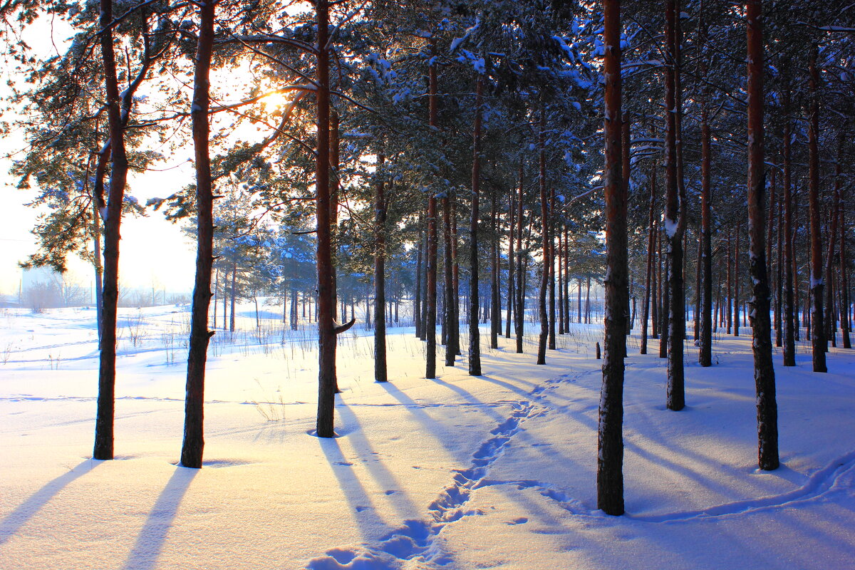 Зима - Евгений Корьевщиков