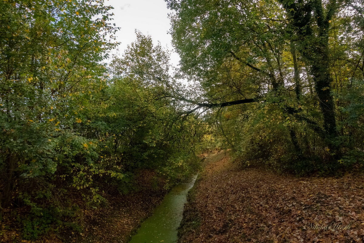 Ручеёк... - Николай Гирш Ручеёк... - Николай Гирш