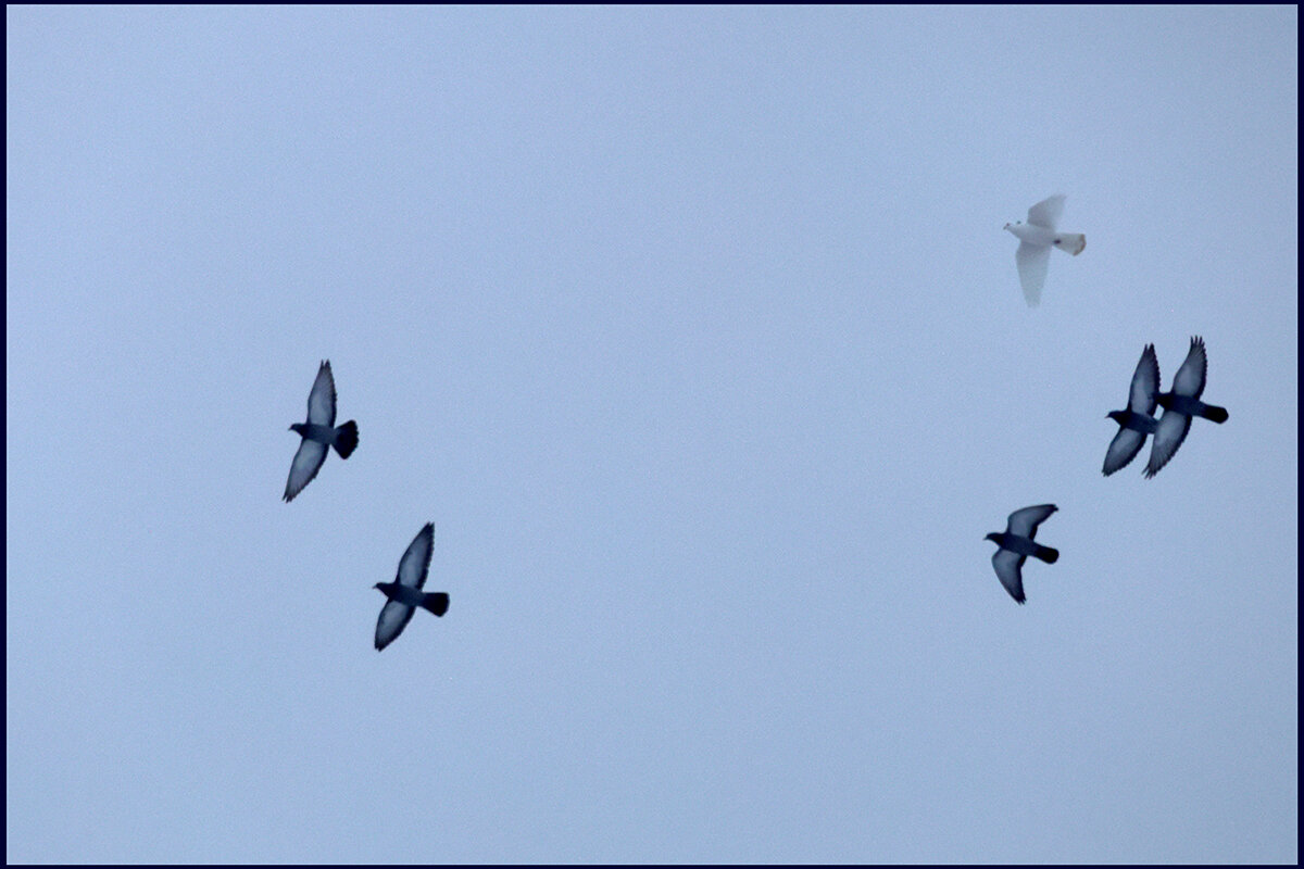 Зимнее небо - Сергей Премонишын