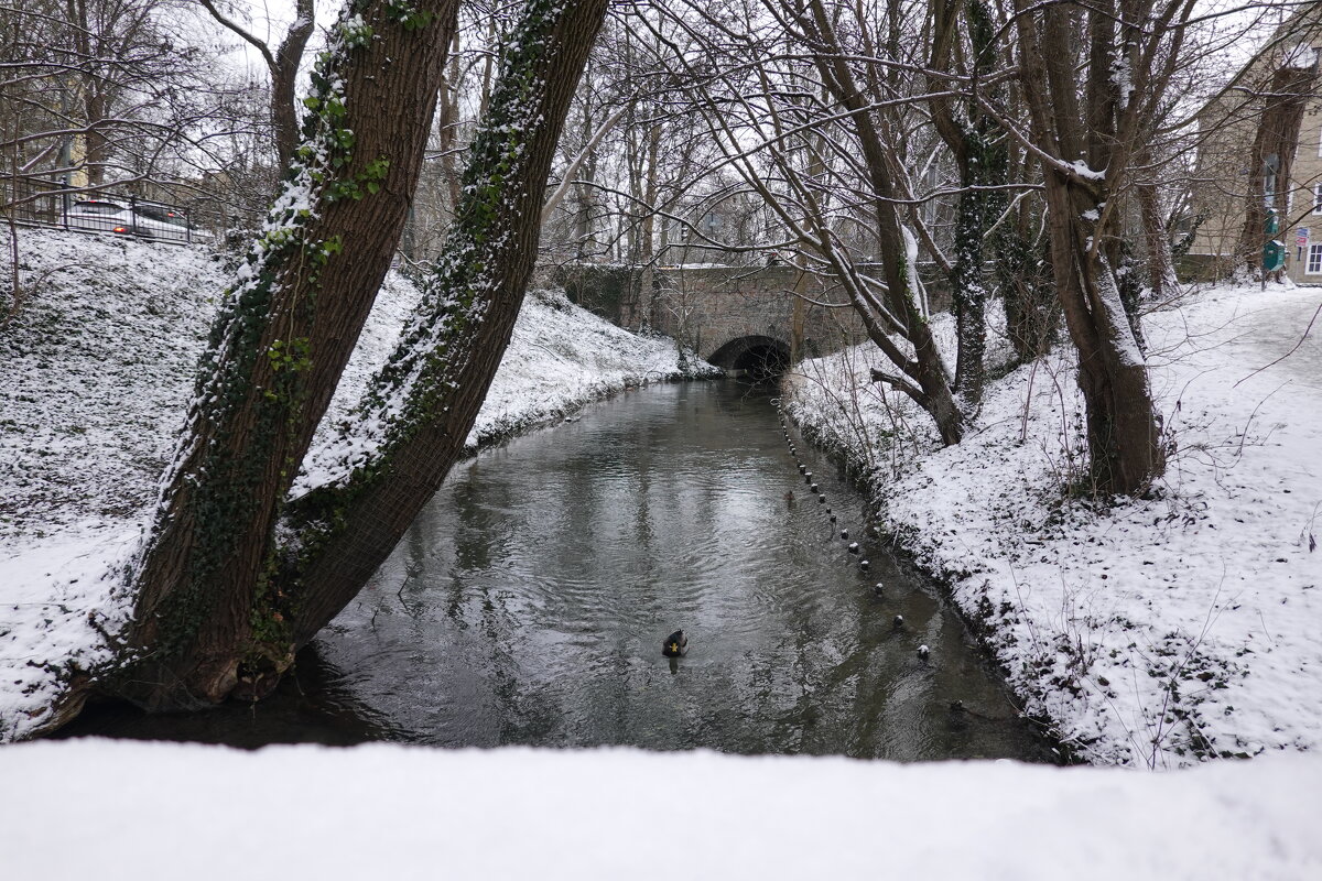 Зимний день - Галина 