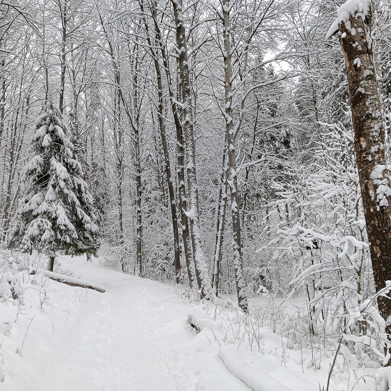 пейзаж - Владимир пейзаж - Владимир