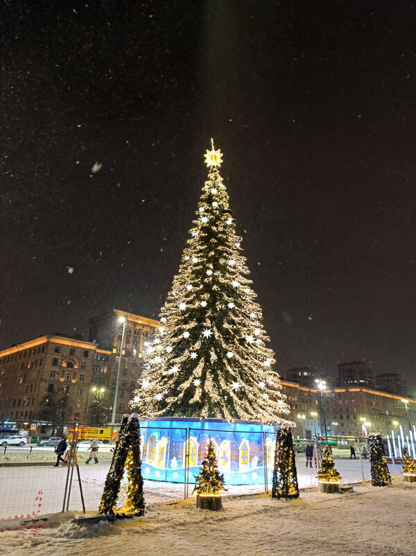 новогодний Санкт-Петербург - Анастасия Софронова