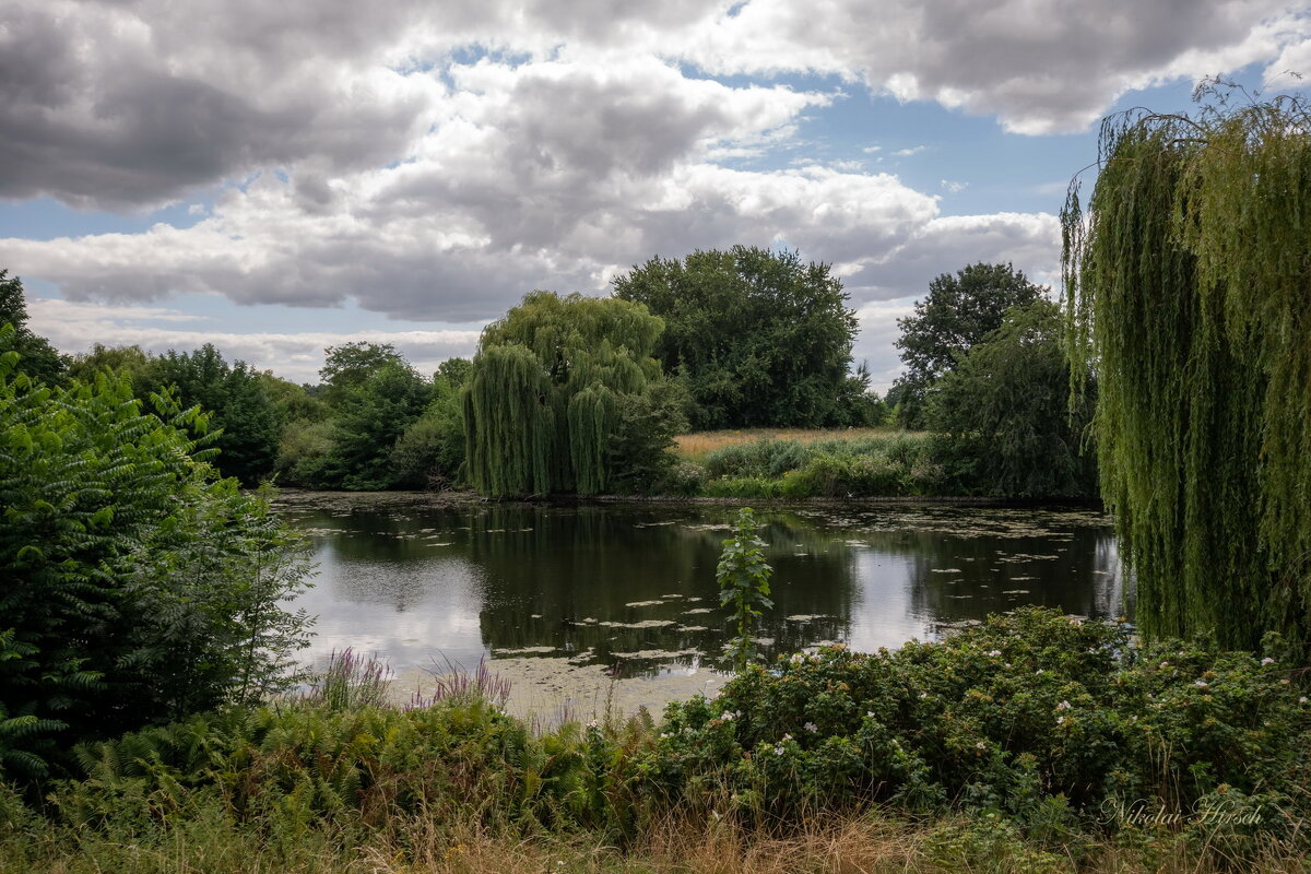 Июльское... - Николай Гирш