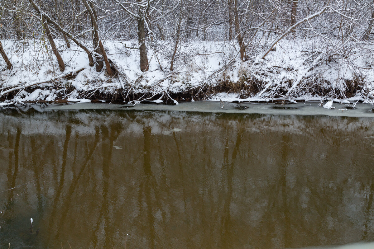 Отражение. - Сергей Татаринов