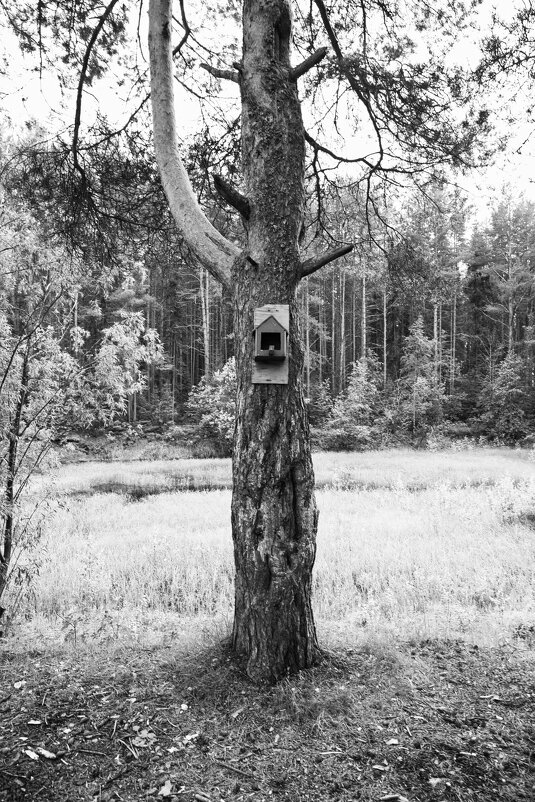 Фотография - Денис Безногов