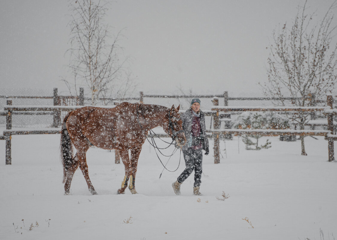 Прогулка на конюшне во время снегопада. - Павел Крутенко