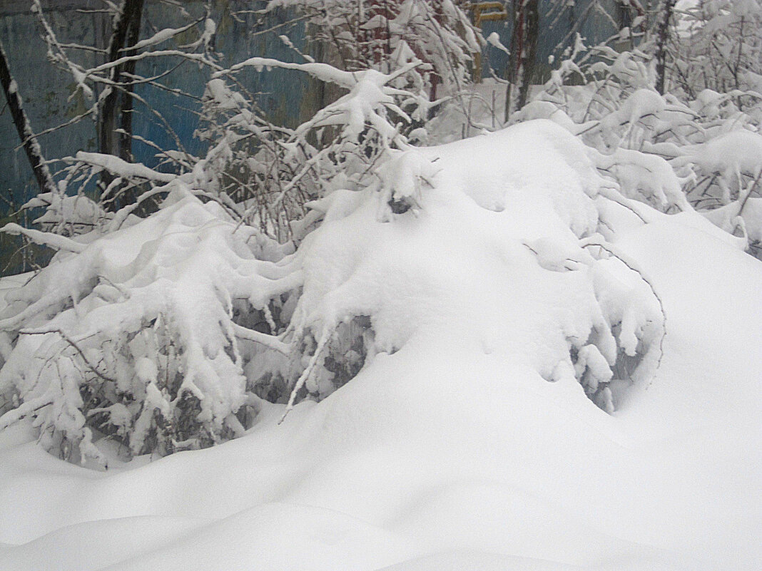 Замело - Елена Семигина