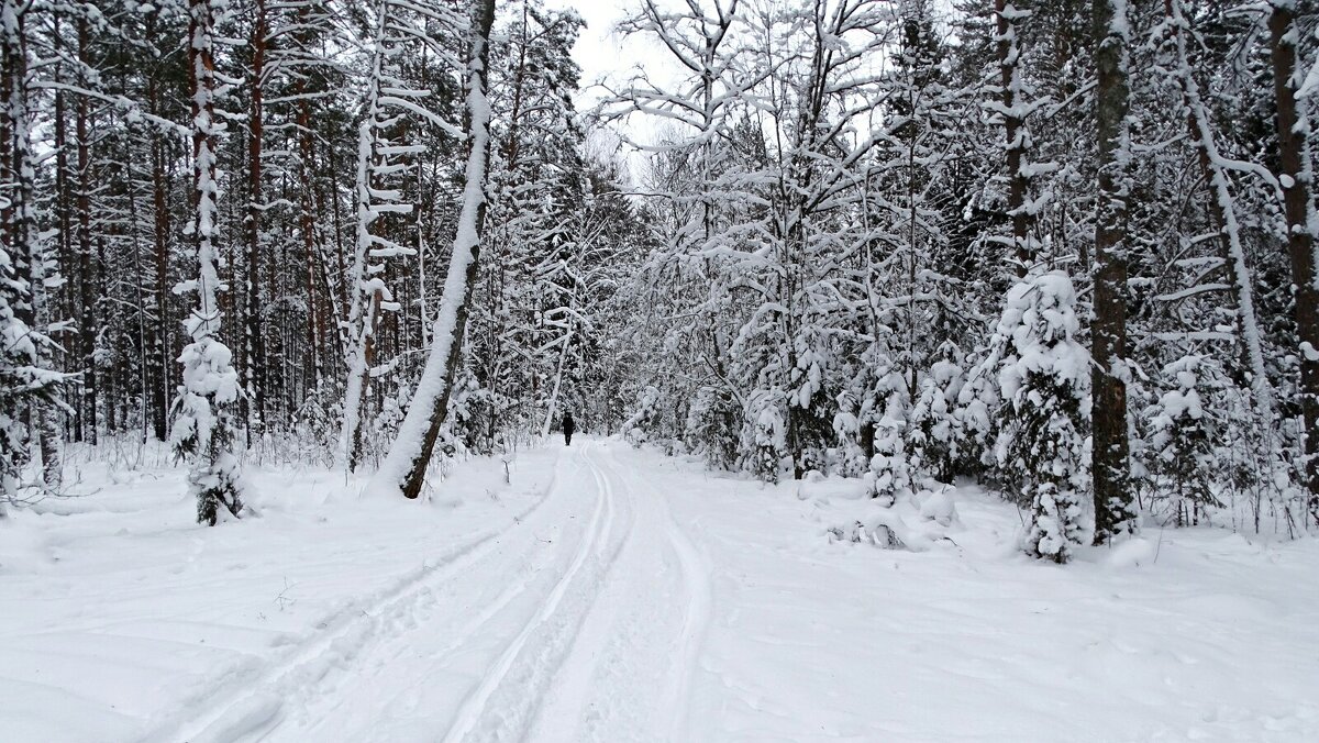 Про смоленскую зиму. - Милешкин Владимир Алексеевич 