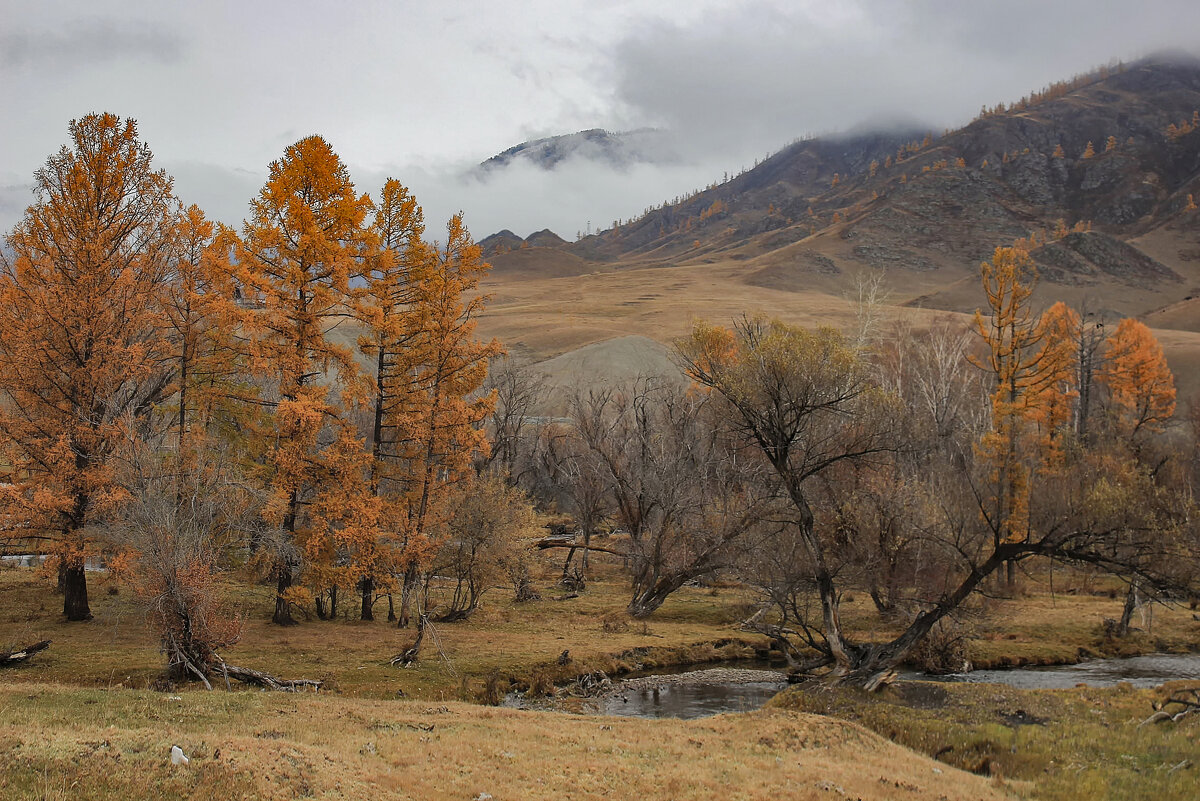 Осенние пейзажи - елена беликова