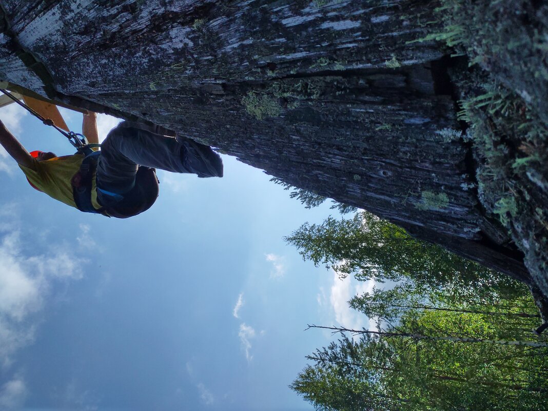 Промышленный альпинист Общего Дела - лукерья Промышленный альпинист Общего Дела - лукерья