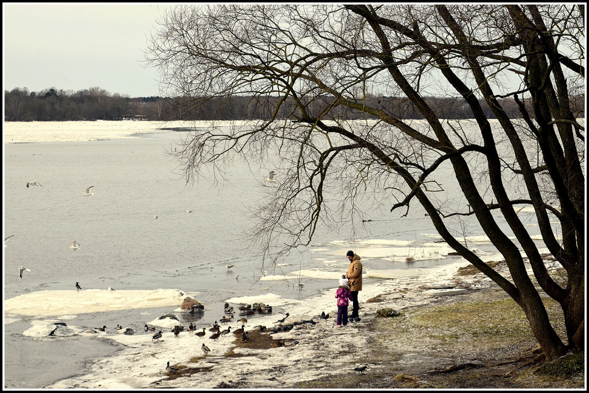 Помочь ближнему - Aleksandr Gal
